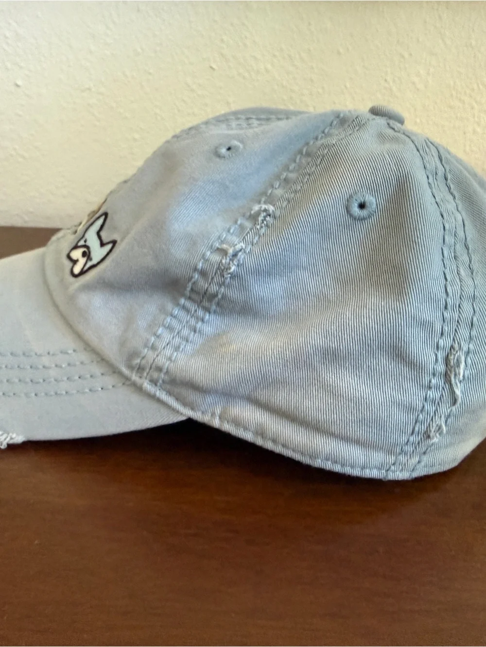 Life Is Good Light Blue Kids Baseball Hat with Dog Patches